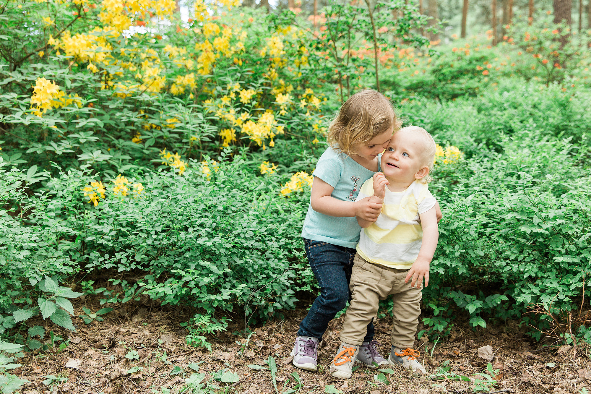 1-V KUVAUS Helsinki/ Rodopuisto