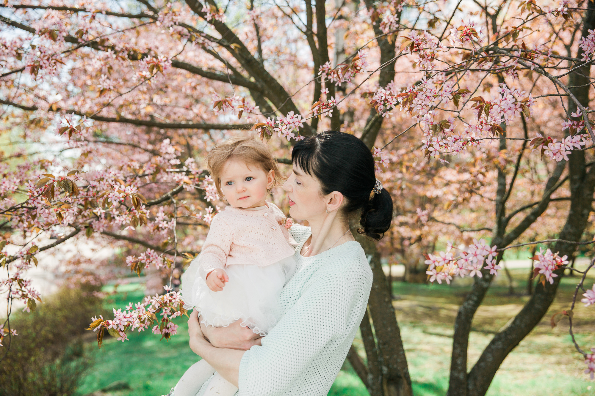 1-vuotiskuvaus Helsingin kirsikkapuistossa