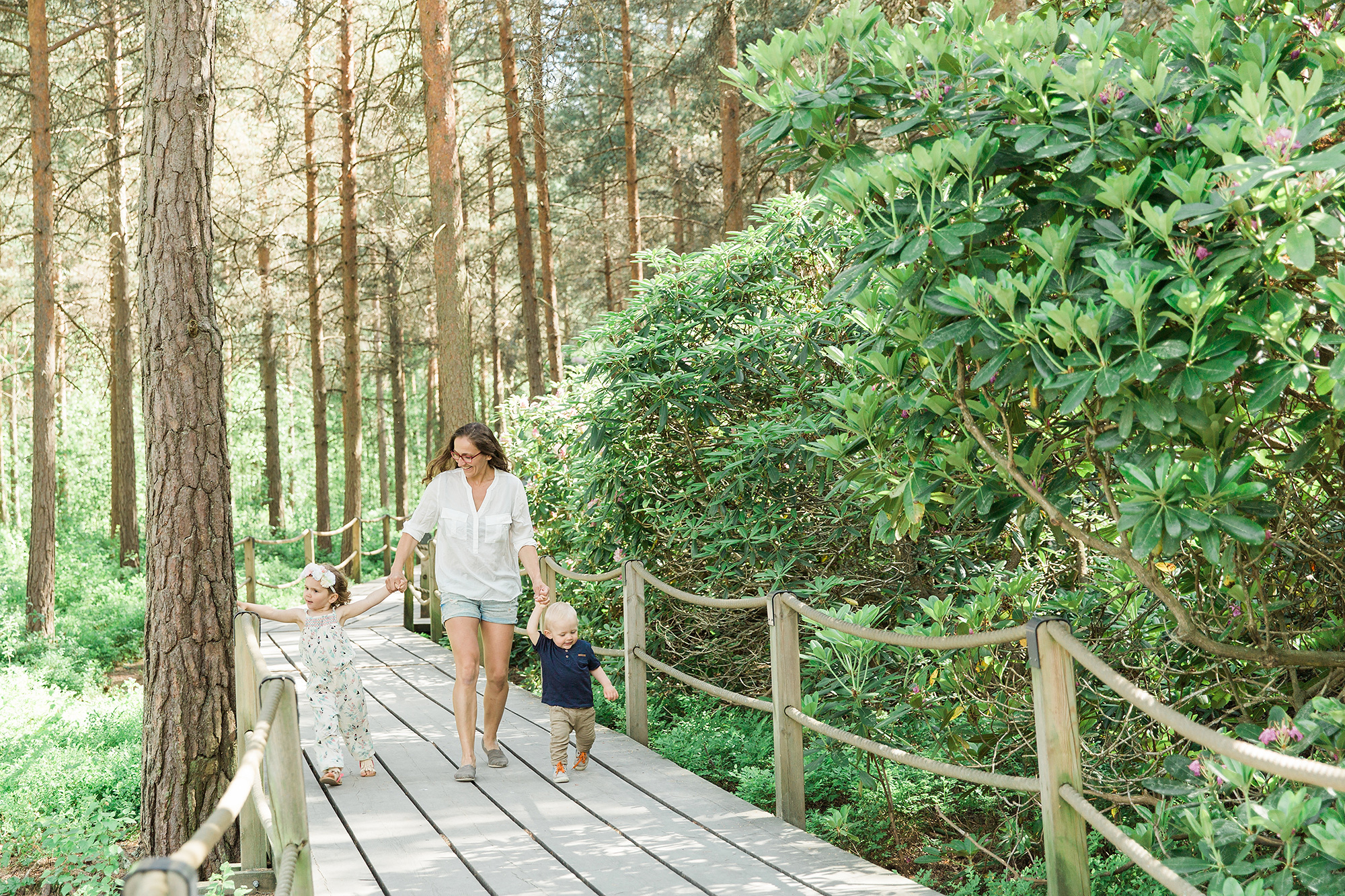 1-V KUVAUS Helsinki/ Rodopuisto