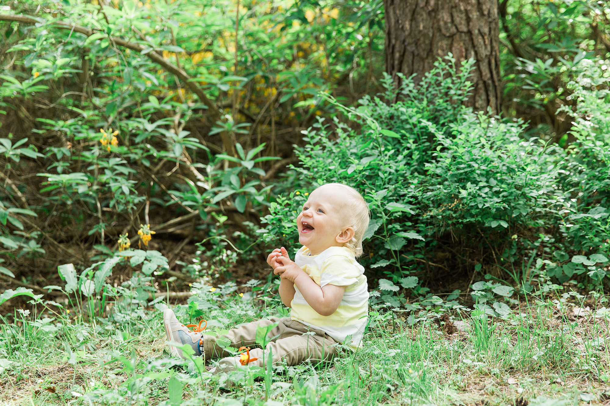 1-V KUVAUS Helsinki/ Rodopuisto