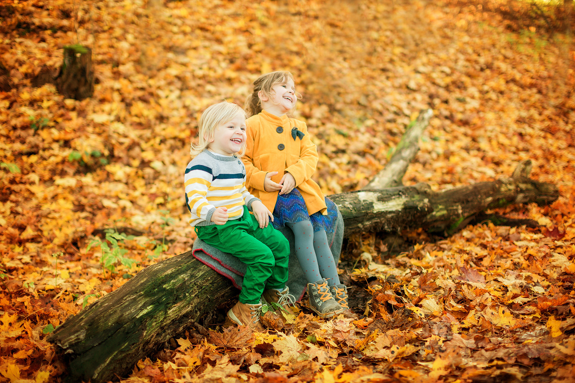 Lapsikuvaus, Vantaan Haltialan tila