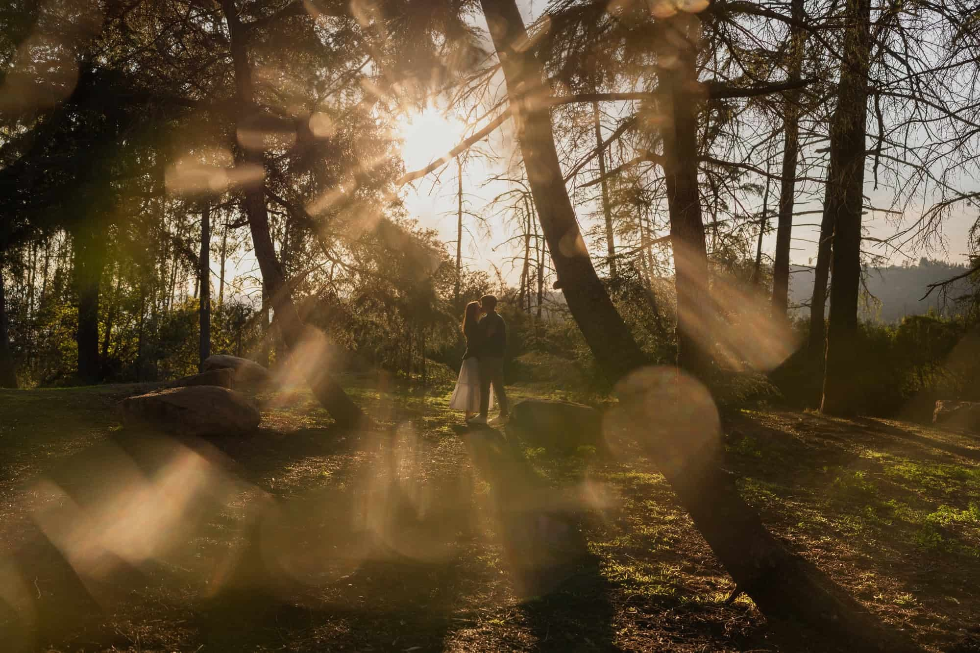 Griffith Park Cedar Grove Engagement Photos. Cinematic Wedding & Elopement Photography in Los Angeles | Inspired by Indie Film & Real Life