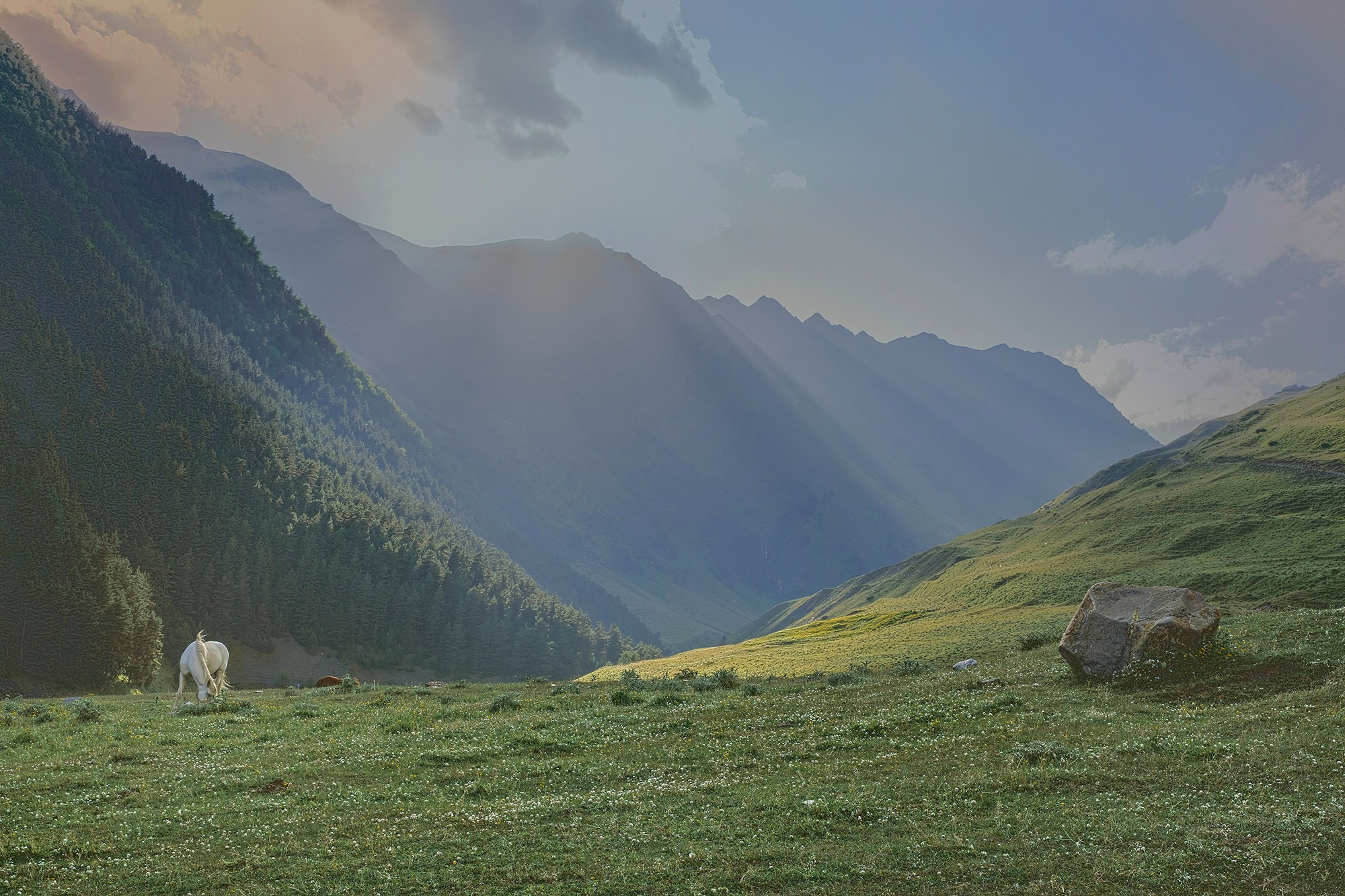 Fine Art Print. Maria Tulchinskaya — Conceptual Photography in California | Fine Art &