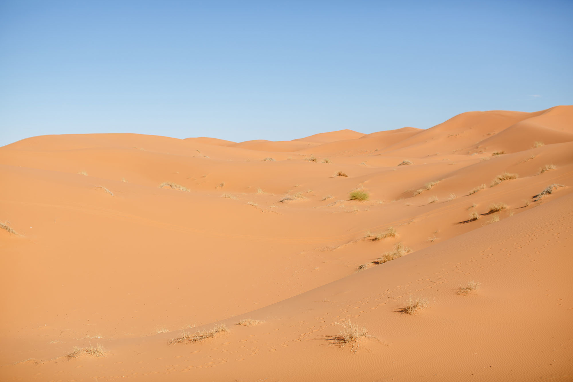 Woestijn Erg-Shebby in Marokko