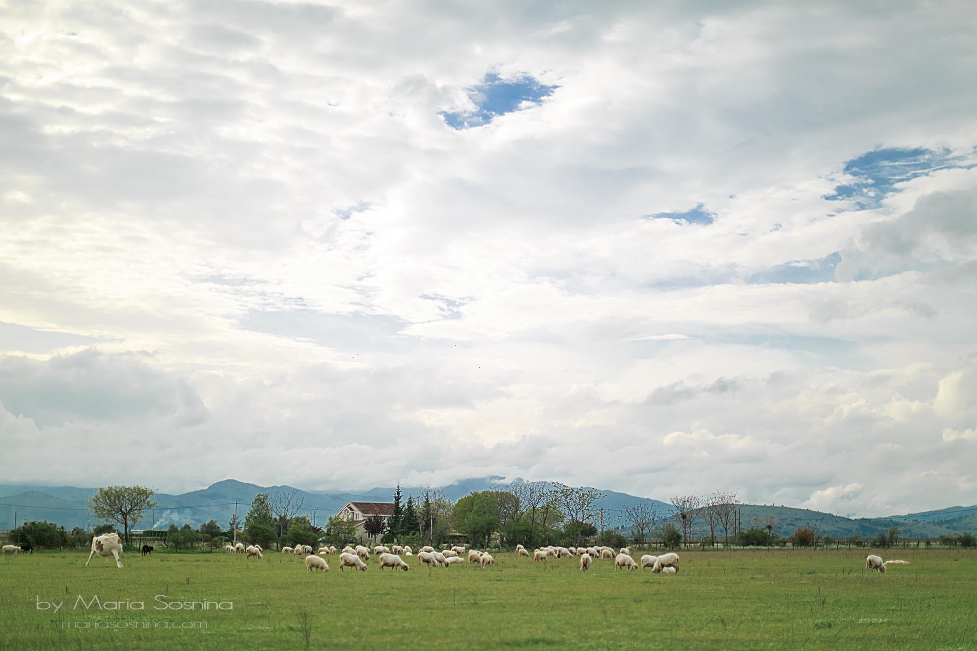 Podgorica’daki Niagara Şelalesi: Unutulmaz bir yemek deneyimi