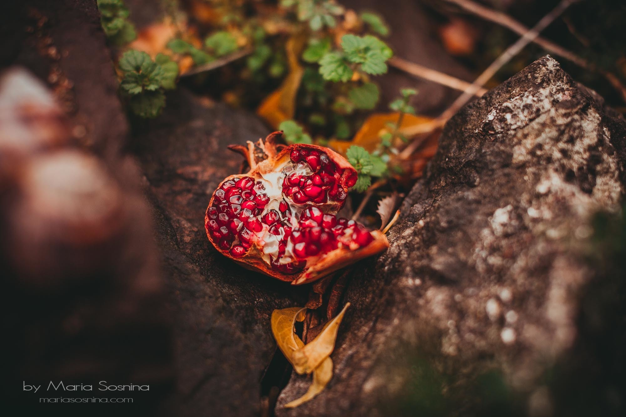 Old Town Bar u Crnoj Gori