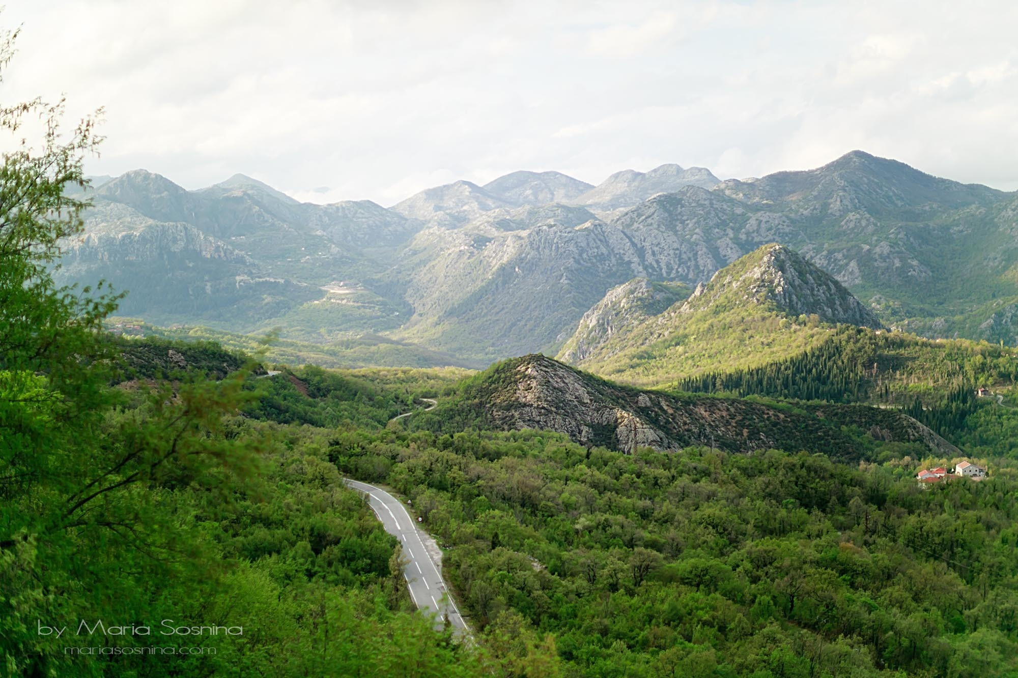 Podgorica’daki Niagara Şelalesi: Unutulmaz bir yemek deneyimi