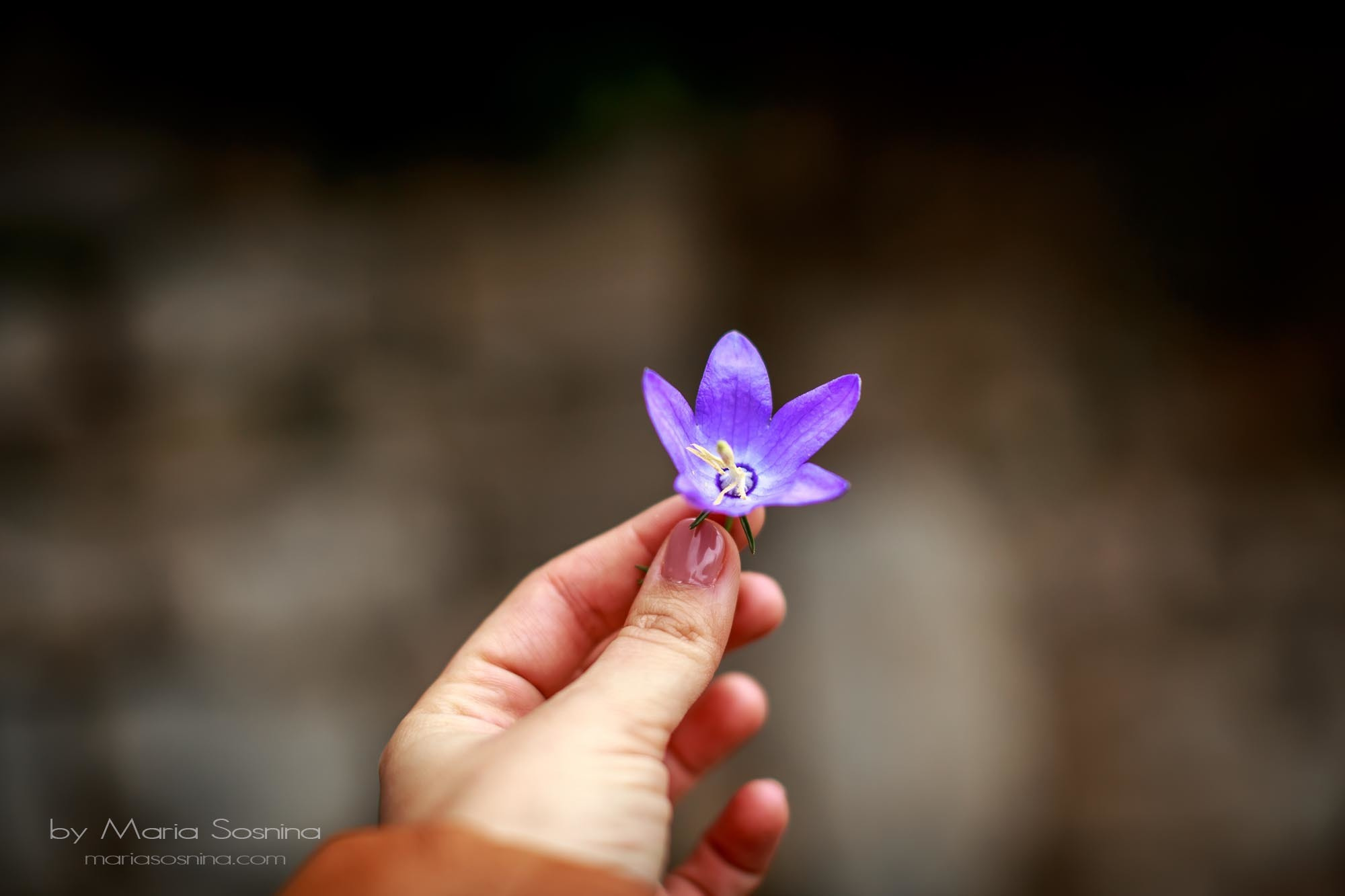 Old Town Bar u Crnoj Gori