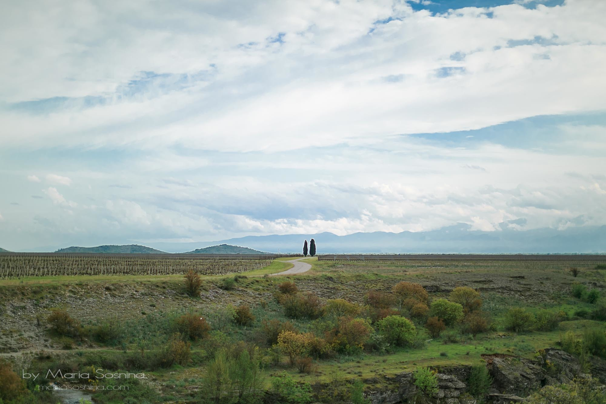 Podgorica’daki Niagara Şelalesi: Unutulmaz bir yemek deneyimi