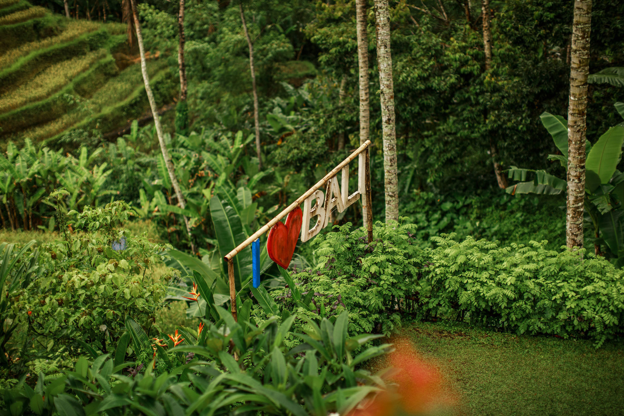 Bali - bazı fotoğraflar ve incelemeler içeren yerler