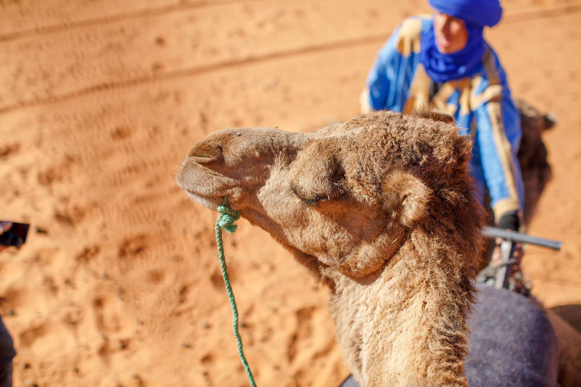 Woestijn Erg-Shebby in Marokko