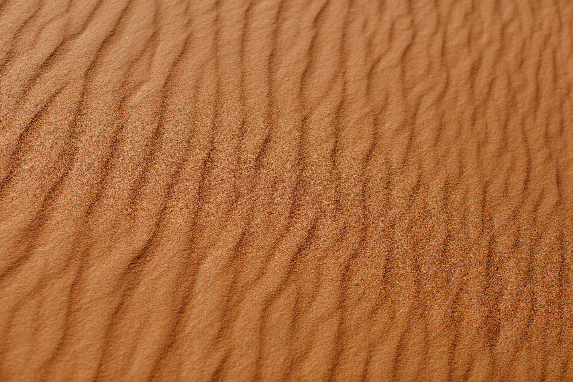 Woestijn Erg-Shebby in Marokko