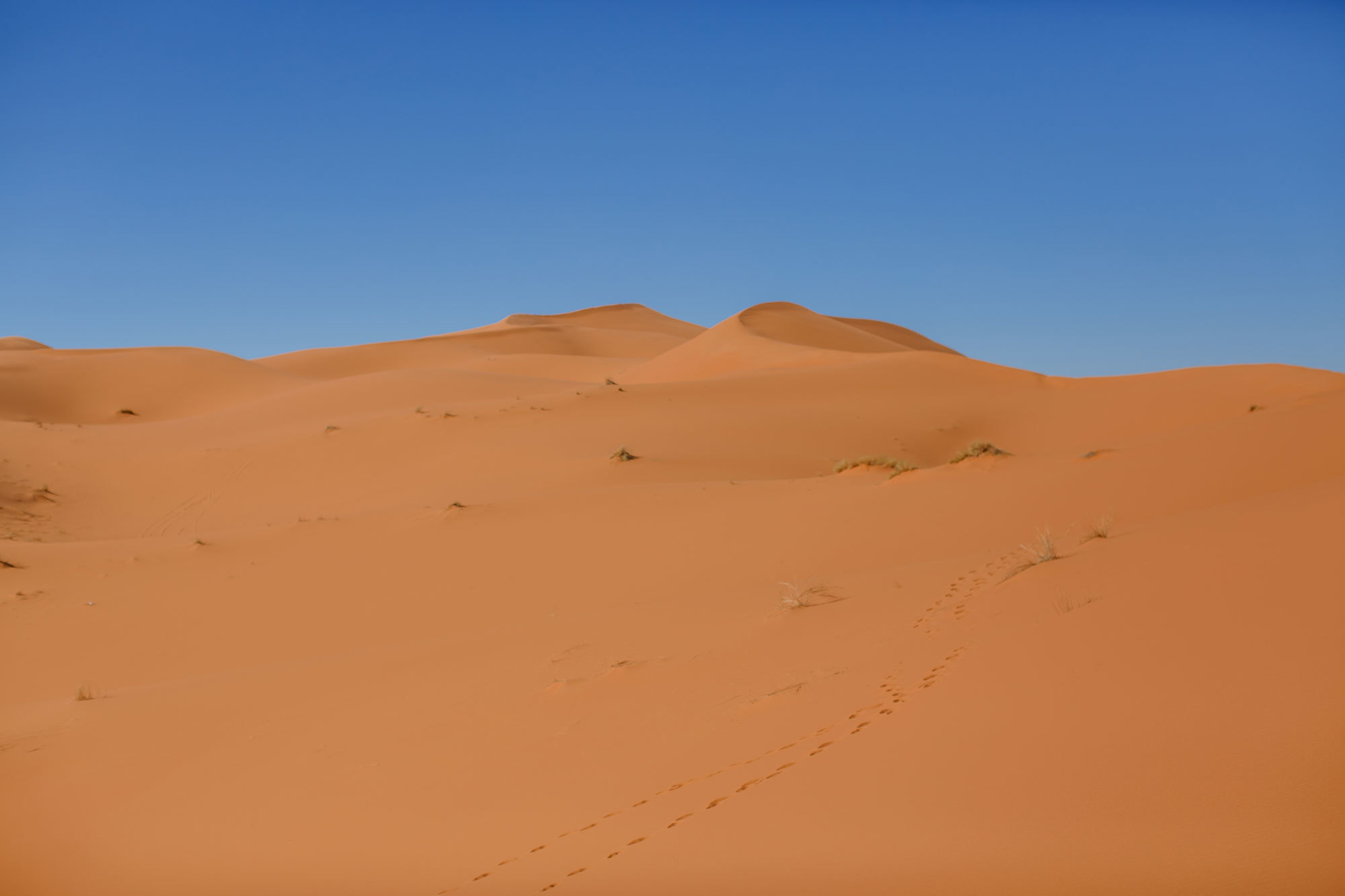 Woestijn Erg-Shebby in Marokko