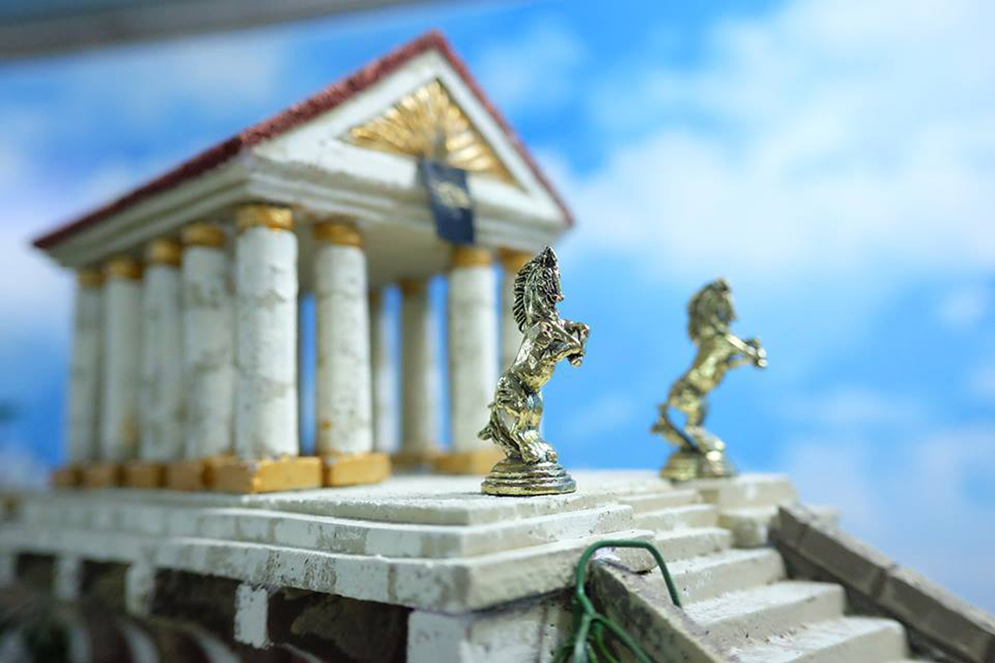 სერვისი. @Gio.Fujifilm ოფიციალური აბასადორი, X-ფოტოგრაფი