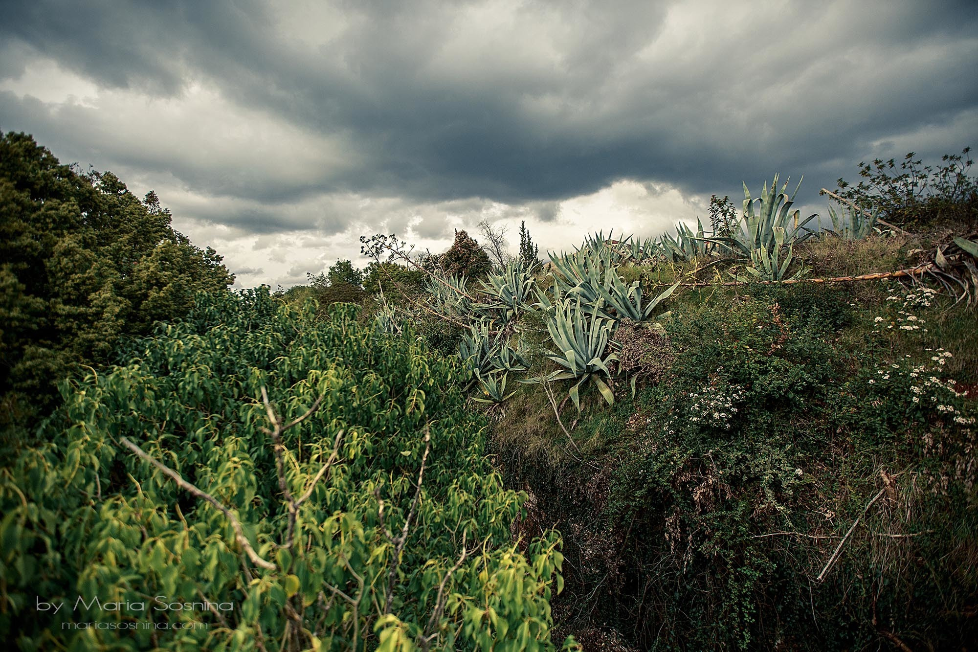 Militært fort på Lushtica-halvøya