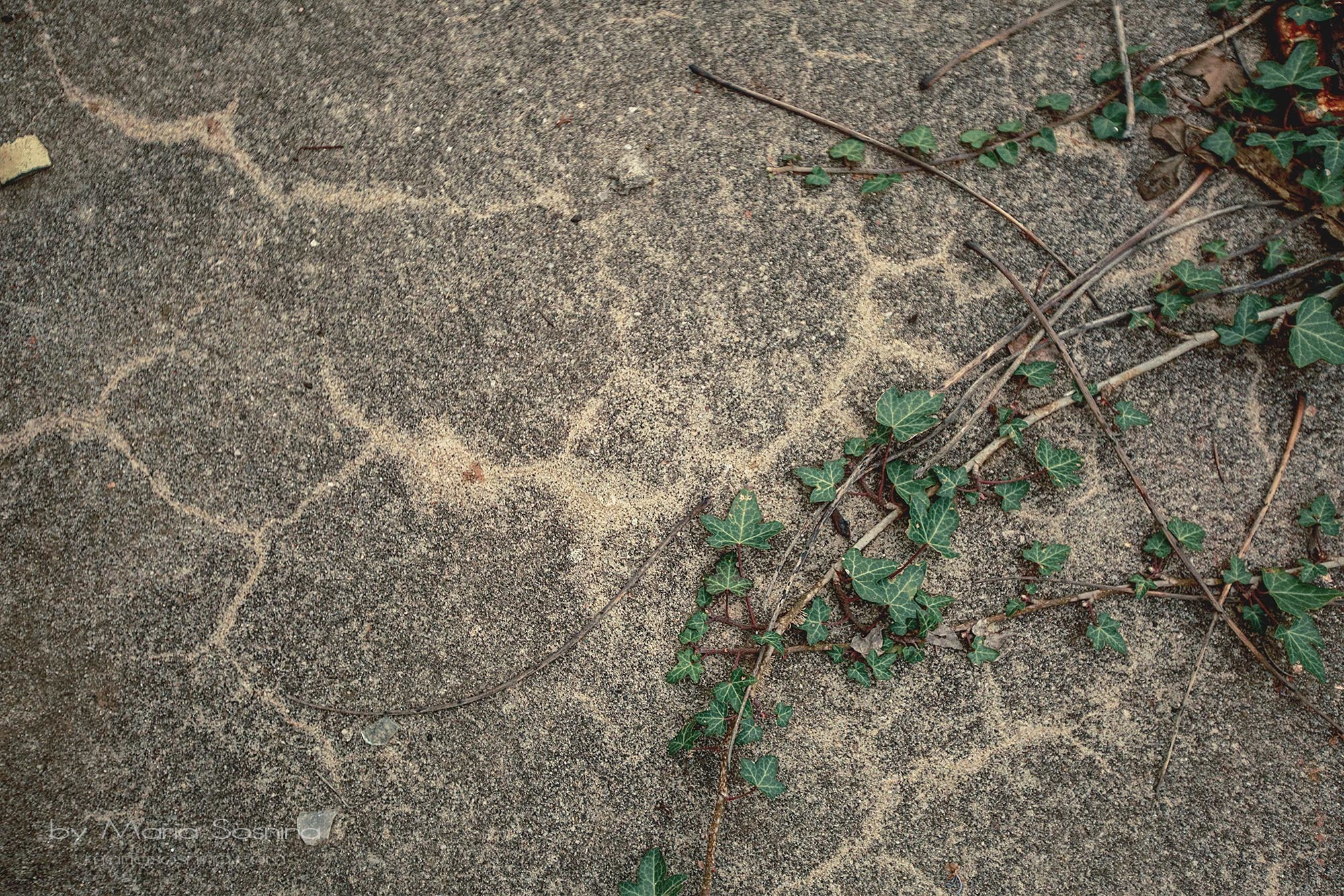 Militært fort på Lushtica-halvøya