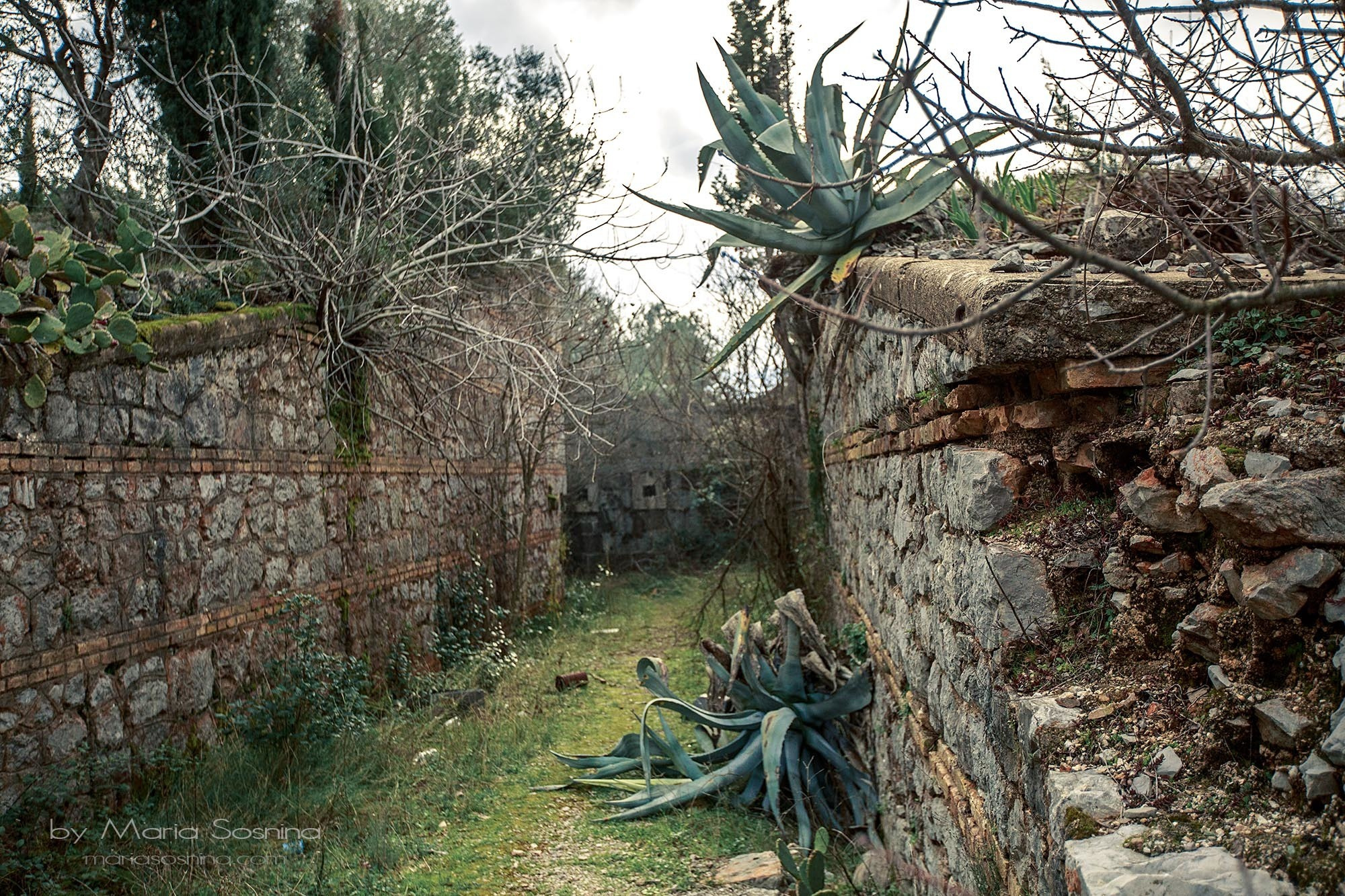 Militært fort på Lushtica-halvøya