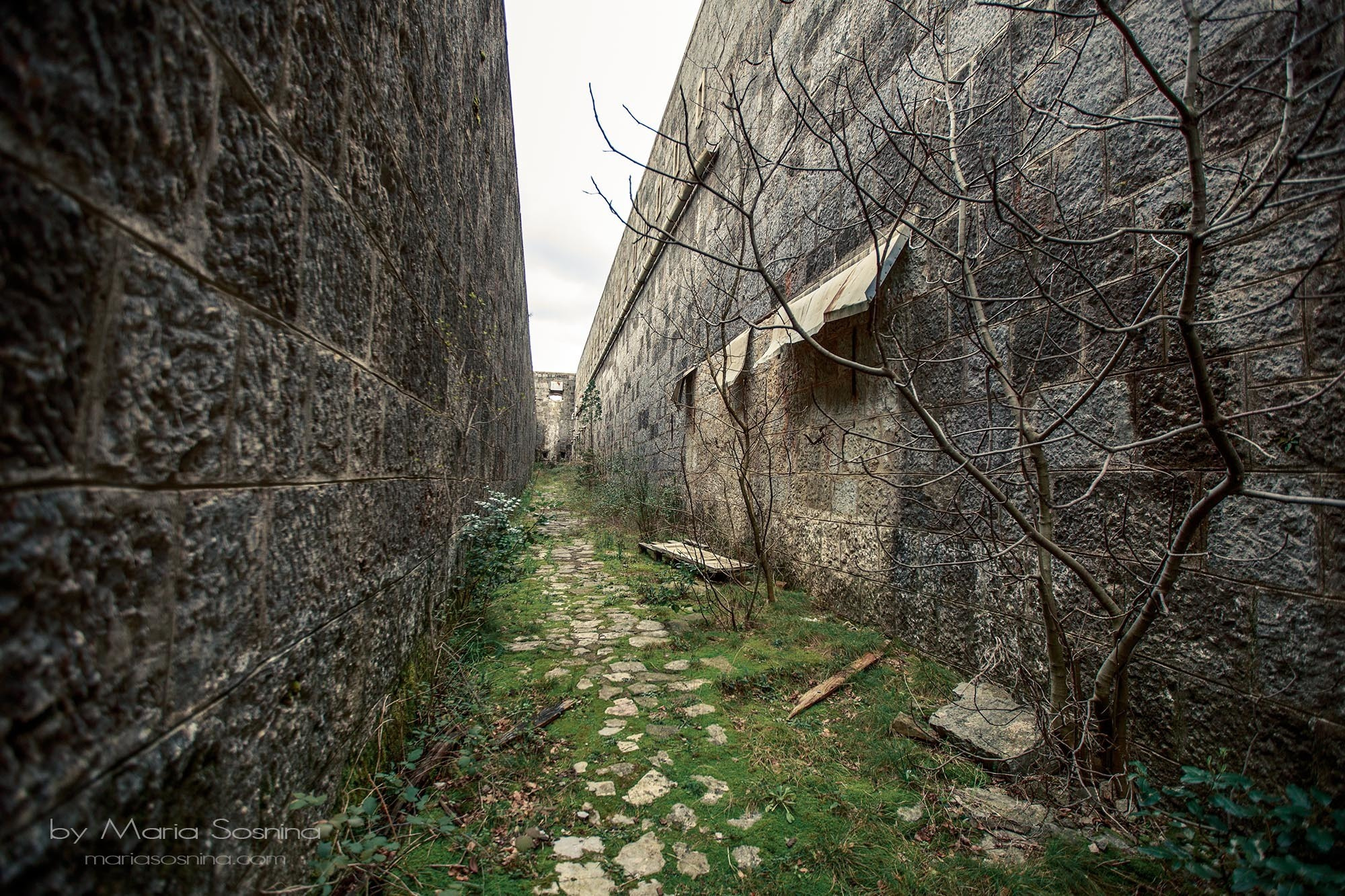Militært fort på Lushtica-halvøya