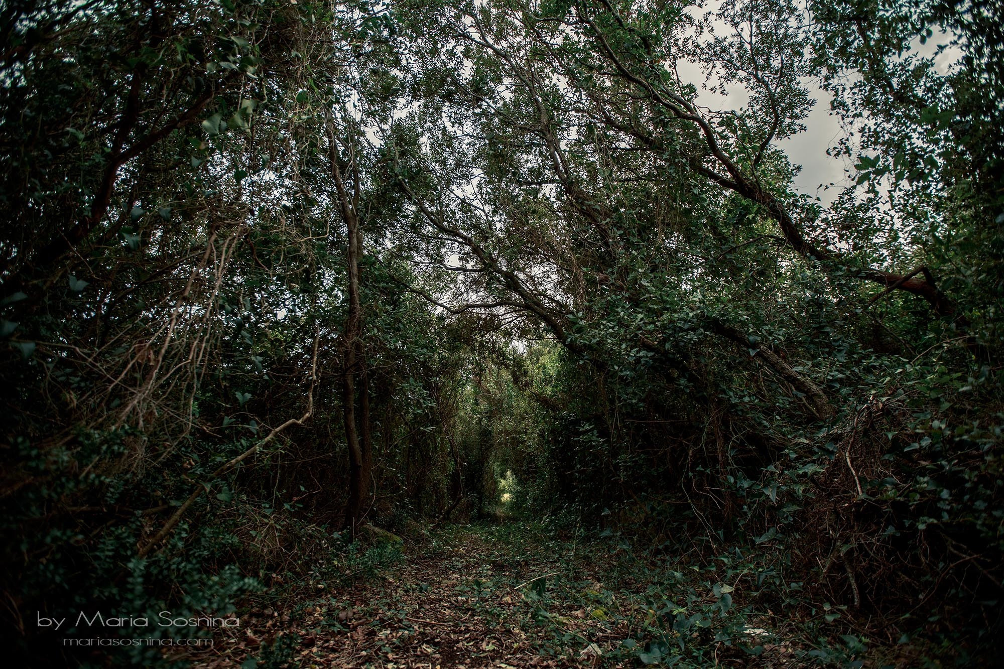 Militært fort på Lushtica-halvøya