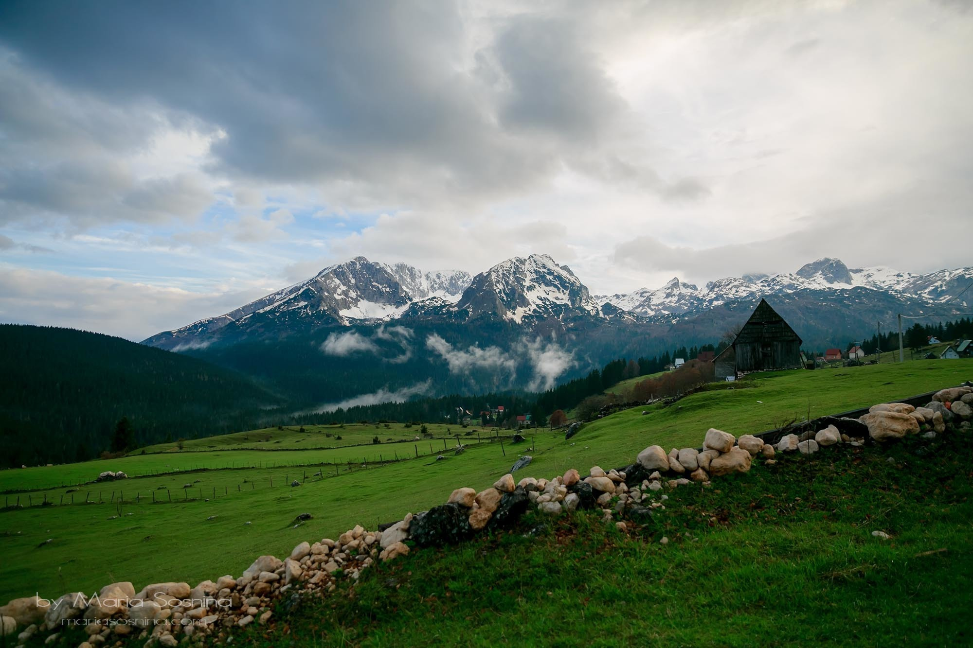 Karadağ'ın kuzeyindeki Zabljak