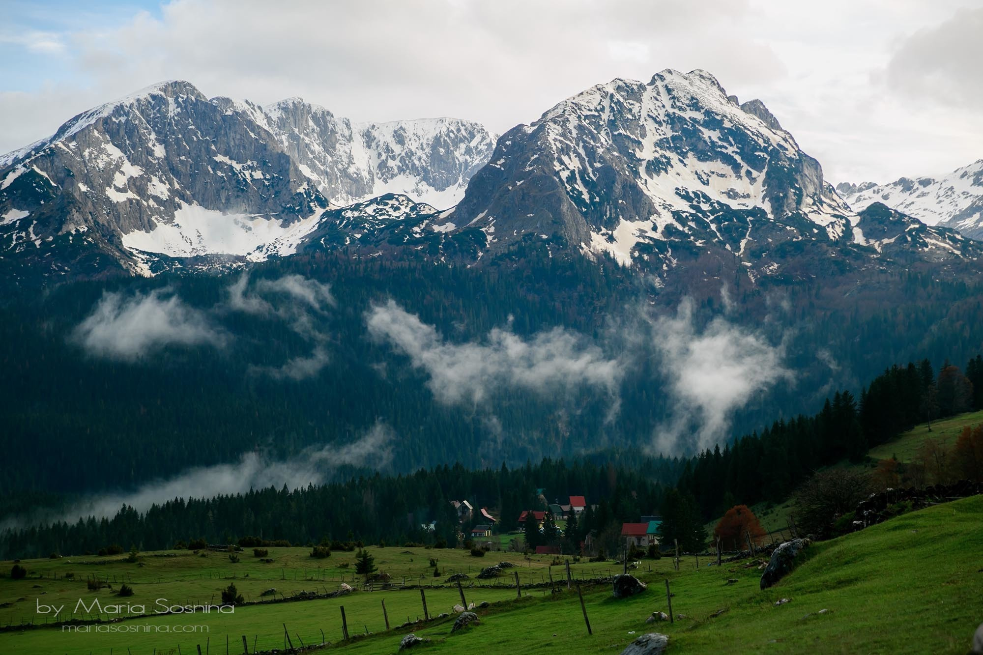 Karadağ'ın kuzeyindeki Zabljak