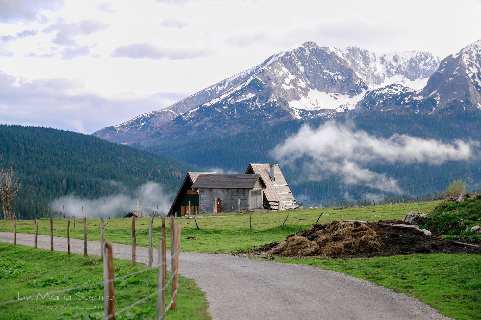 Karadağ'ın kuzeyindeki Zabljak