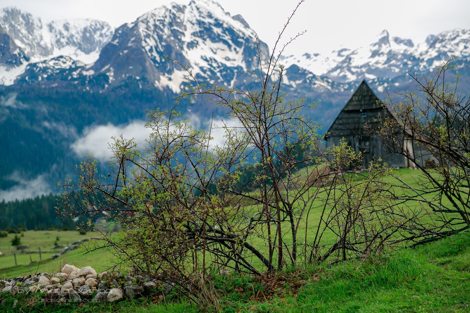 Karadağ'ın kuzeyindeki Zabljak