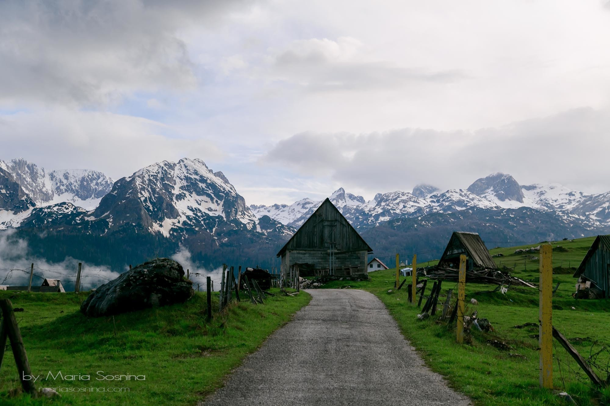 Karadağ'ın kuzeyindeki Zabljak