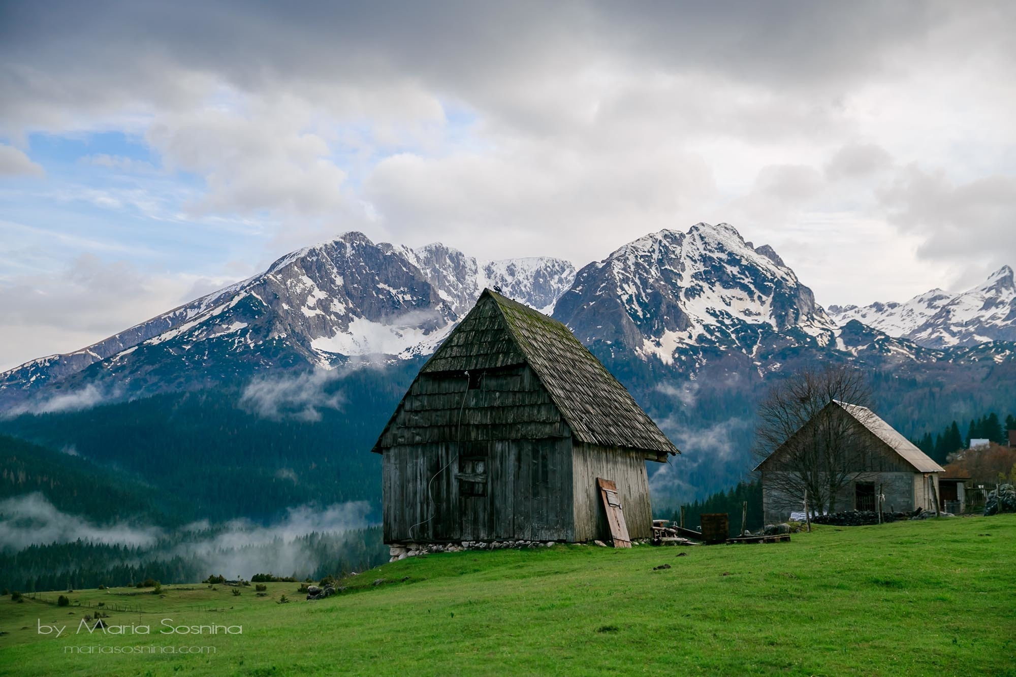 Karadağ'ın kuzeyindeki Zabljak