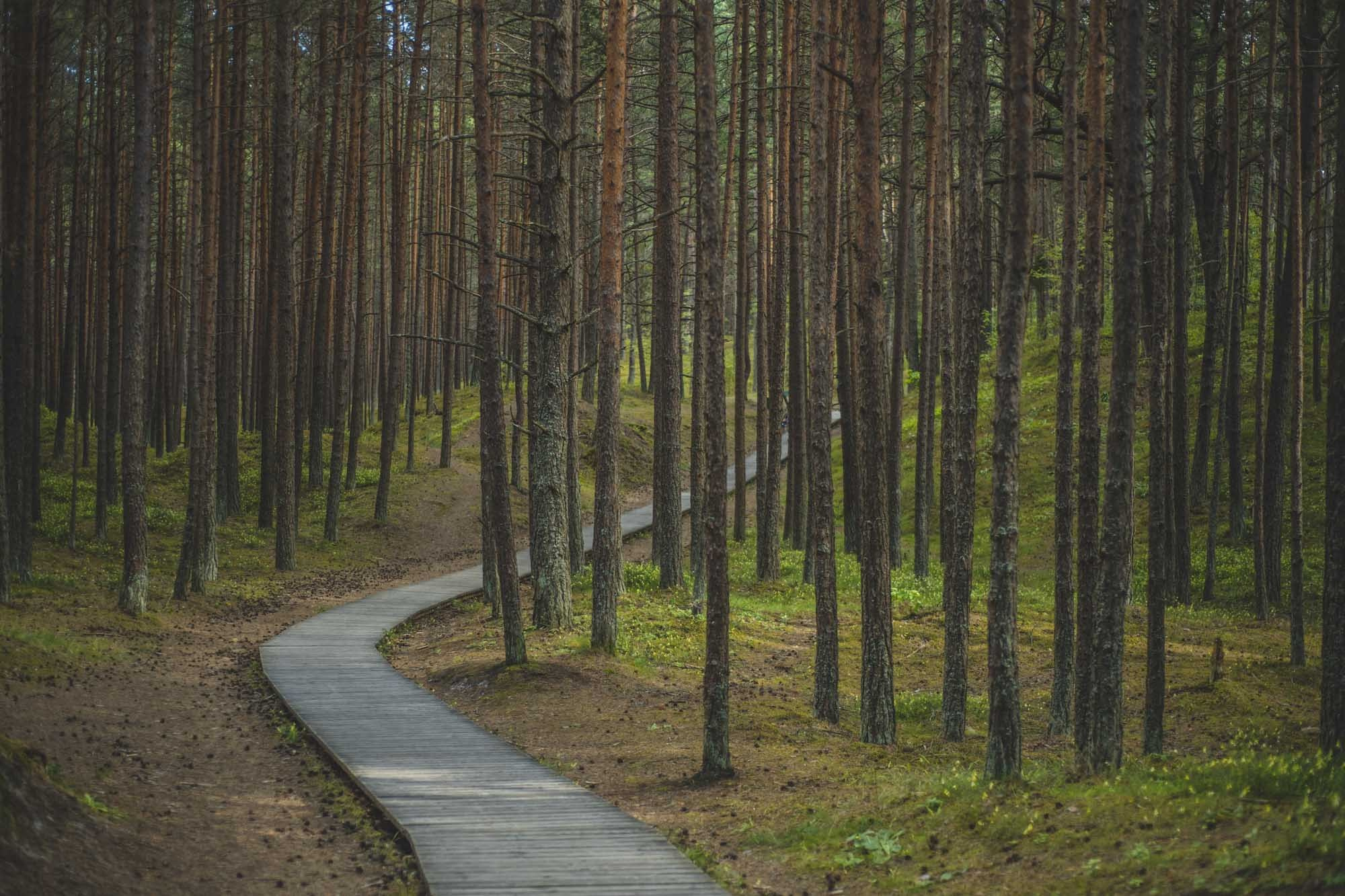 Filmēšanas kursi, gan klātienes, gan online. Video shooting and creating with phone, iPhone Video School