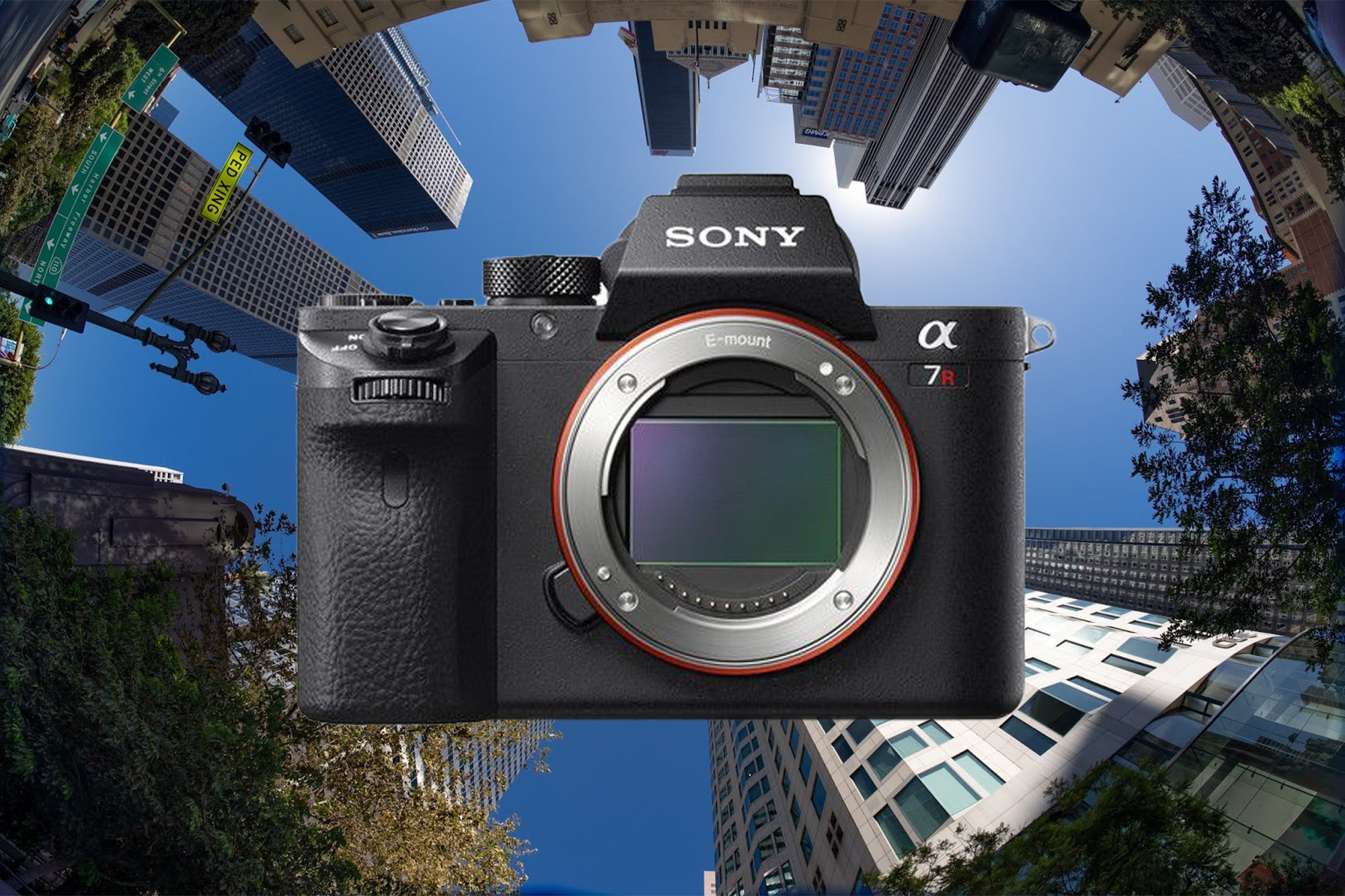 Buto fotografavimas Vilniuje | Profesionalios NT nuotraukos — SapiegaFoto