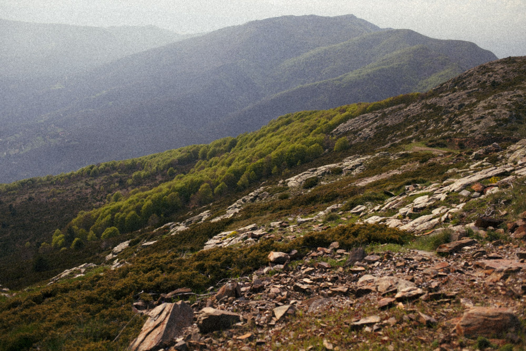 Contact Marina Kálcheva — Photographer & Visual Artist in Barcelona. Marina Kálcheva — Photographer, Videographer & Visual Artist in Barcelona