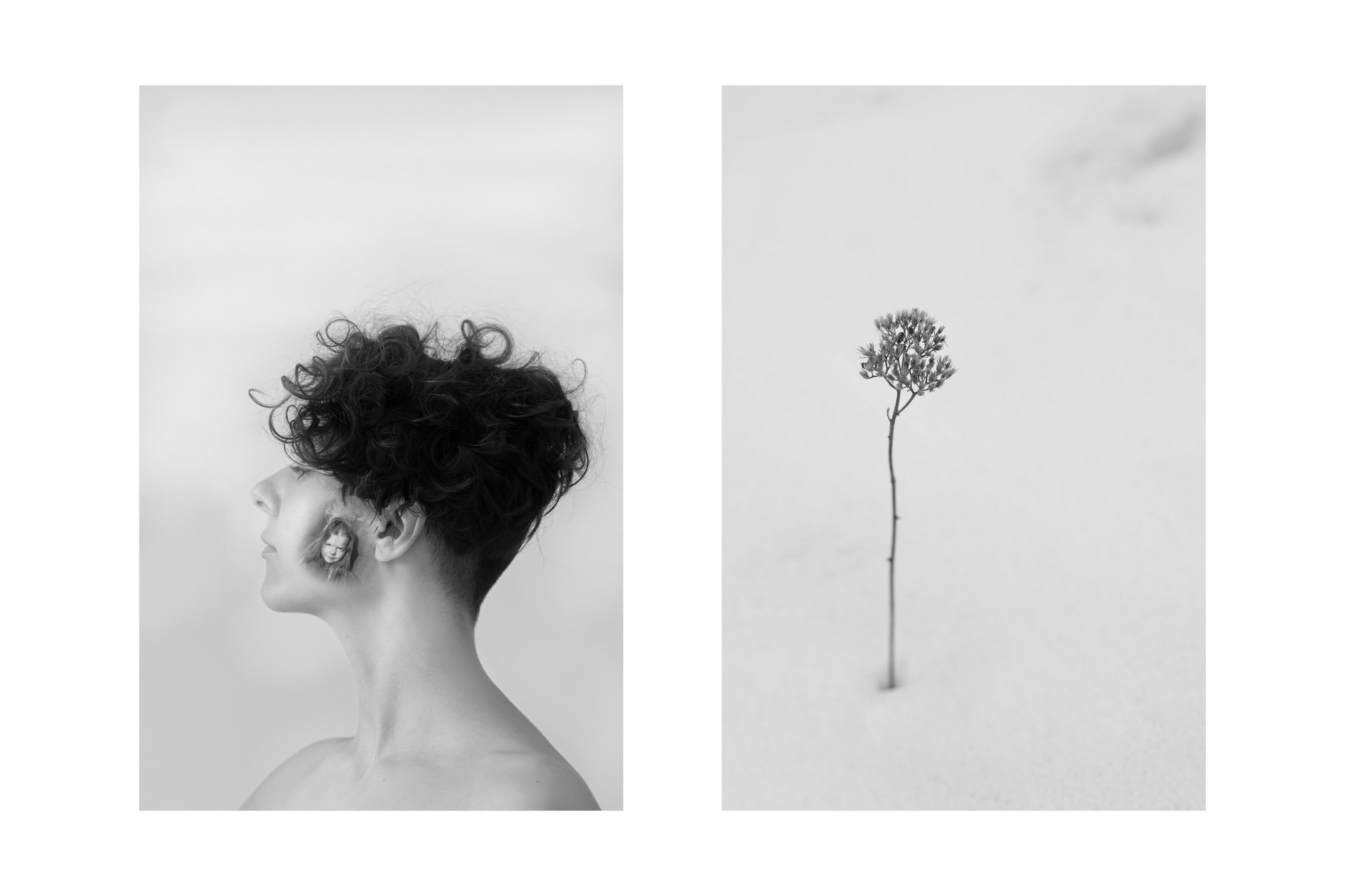 Они продолжают гулять внутри моего сердца