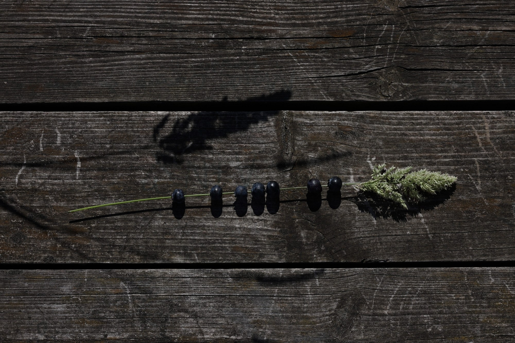 Они продолжают гулять внутри моего сердца