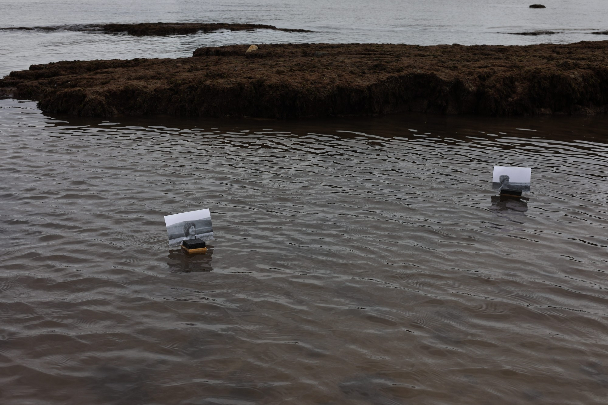 Они продолжают гулять внутри моего сердца