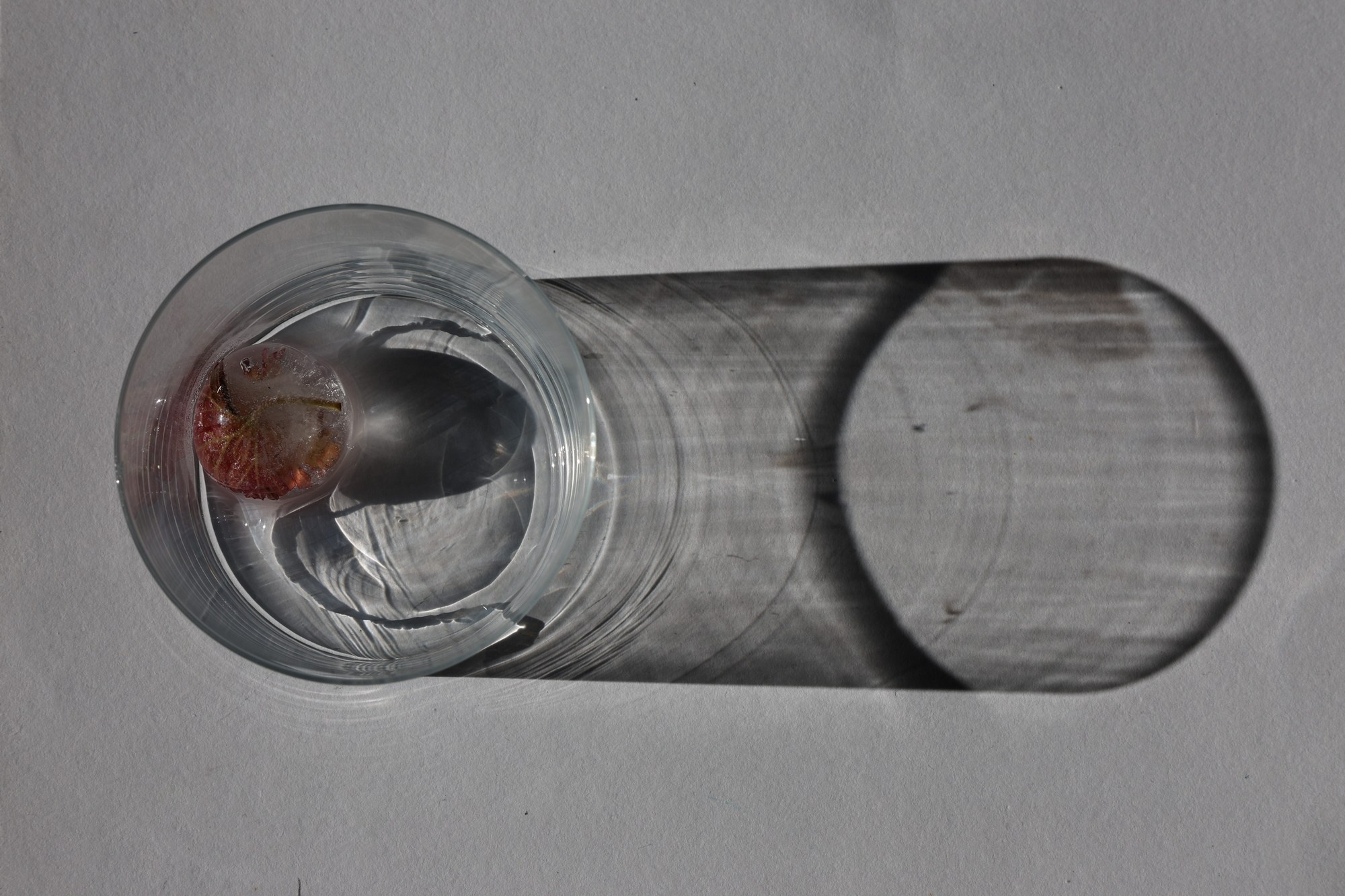 Они продолжают гулять внутри моего сердца