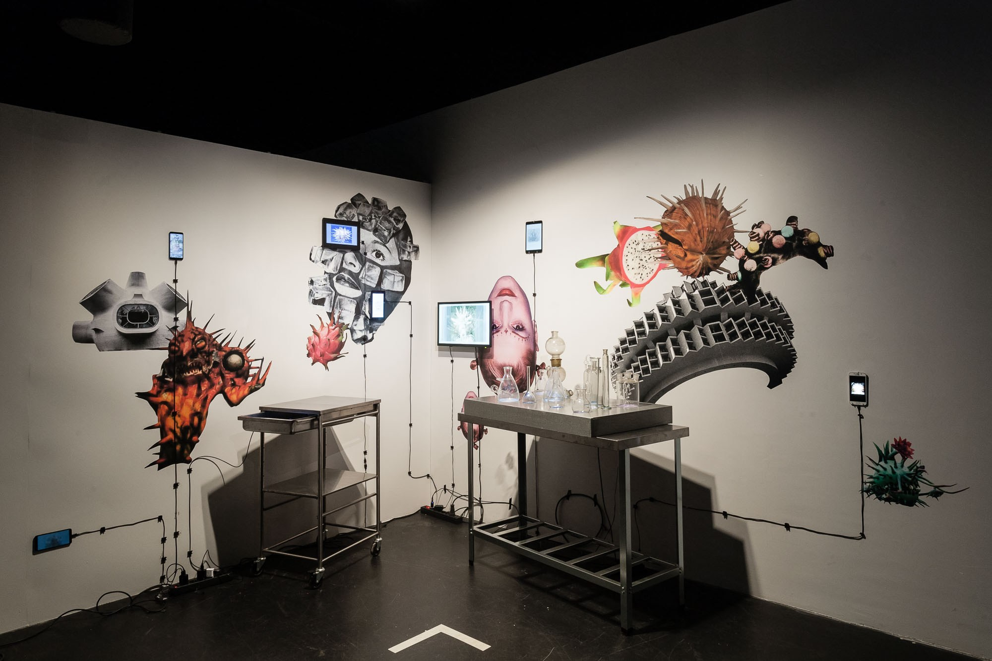 Laboratory X. Alina Kugush