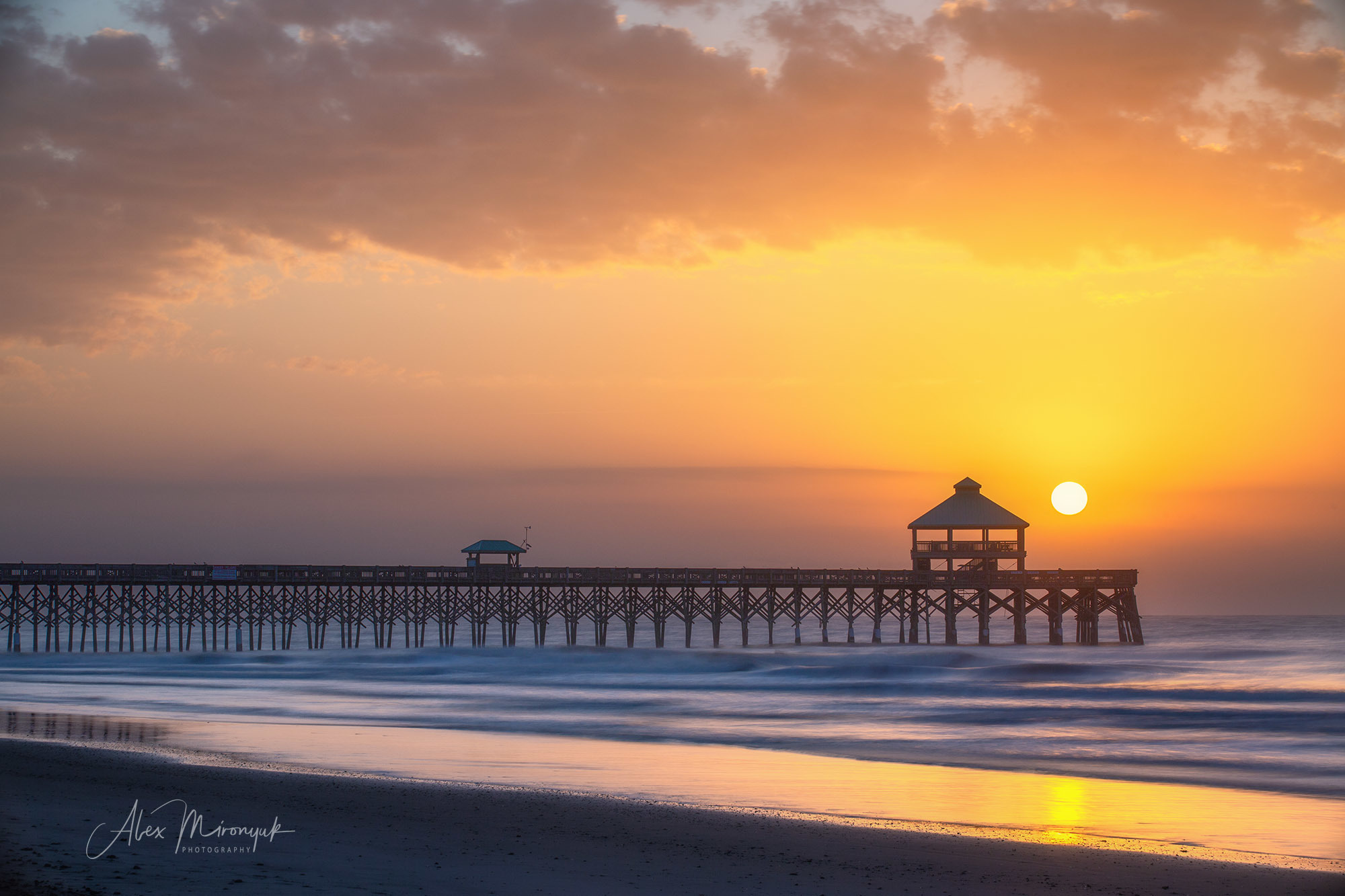 Cypress Swamps Adventure. Alex Mironyuk Photography