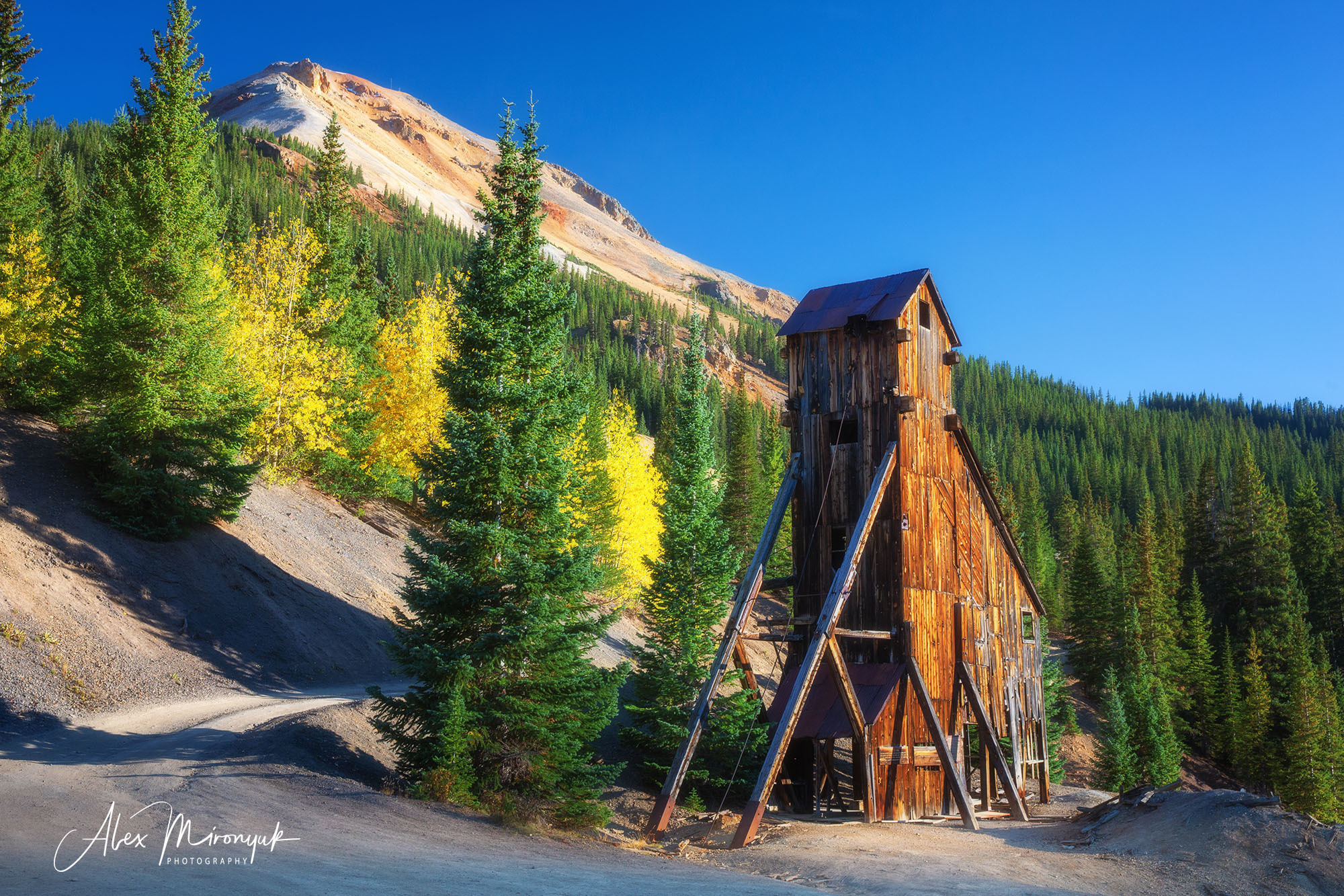 Colors of Colorado & New Mexico. Pet, Senior, Landscape, portrait studio, photographer in Miami and Sou