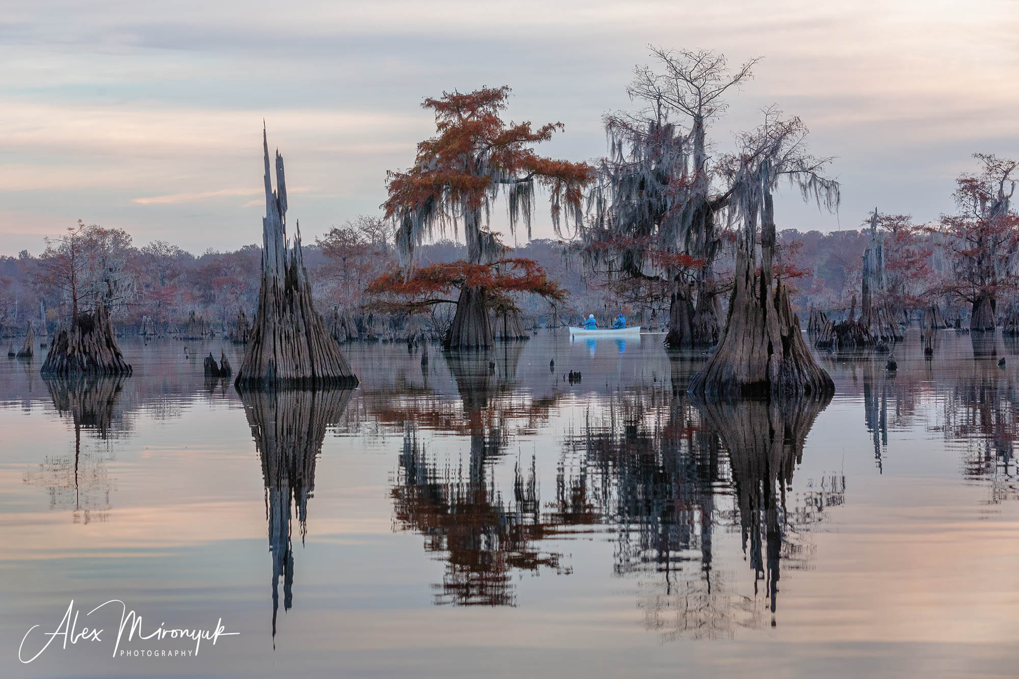 Cypress Fairy Tale. Pet, Senior, Landscape, portrait studio, photographer in Miami and Sou