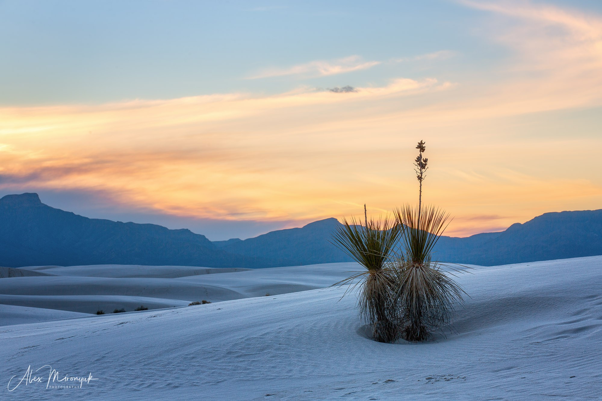 The Best of New Mexico. Pet, Senior, Landscape, portrait studio, photographer in Miami and Sou