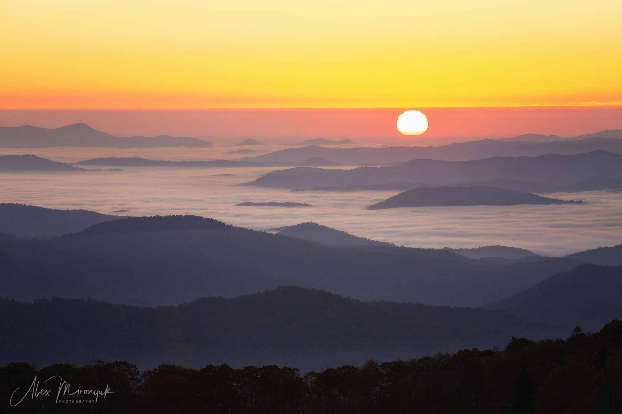 Fall at Great Smoky Mountains. Pet, Senior, Landscape, portrait studio, photographer in Miami and Sou