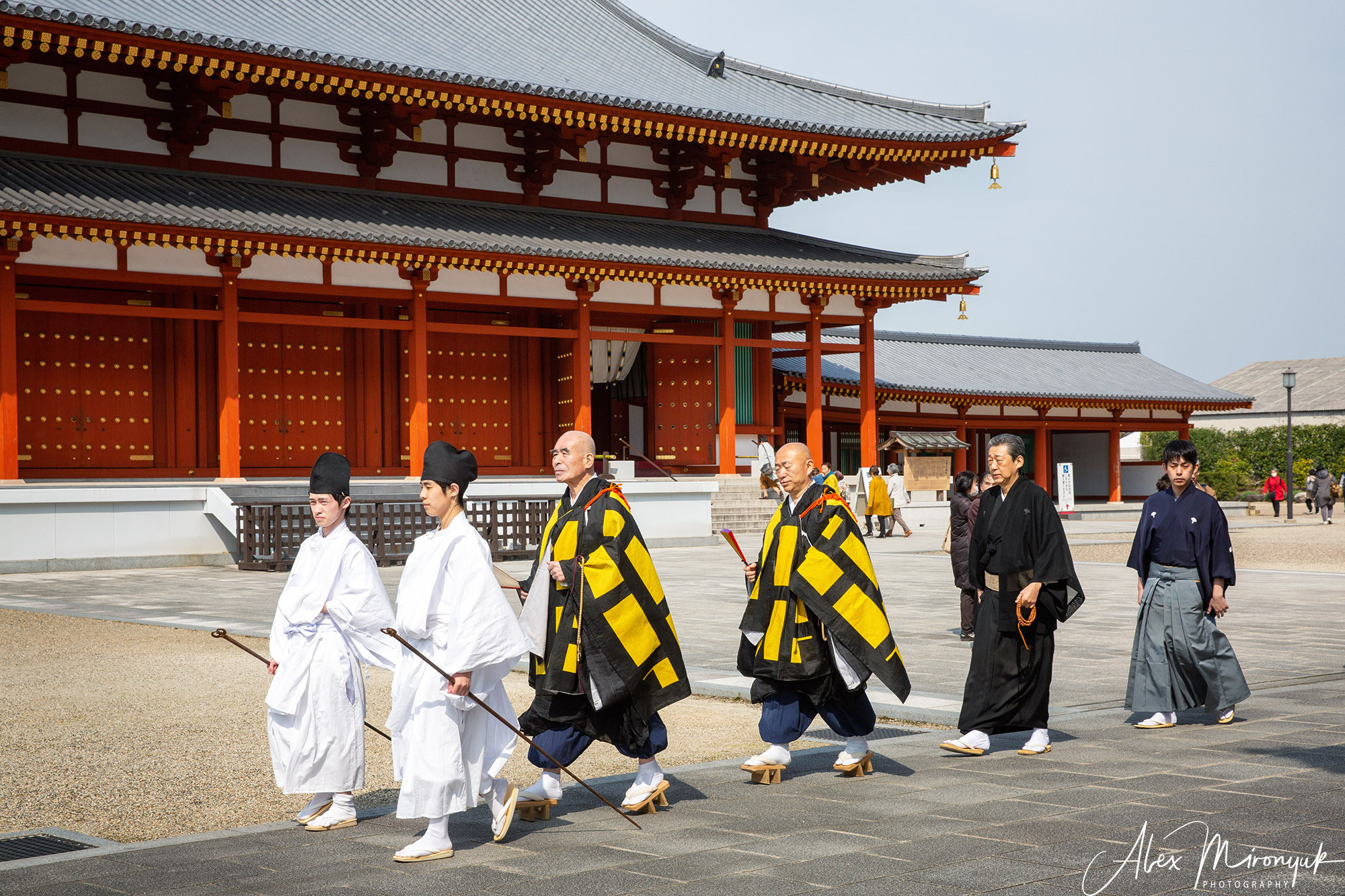 Momiji-gari Season In Japan. Pet, Senior, Landscape, portrait studio, photographer in Miami and Sou