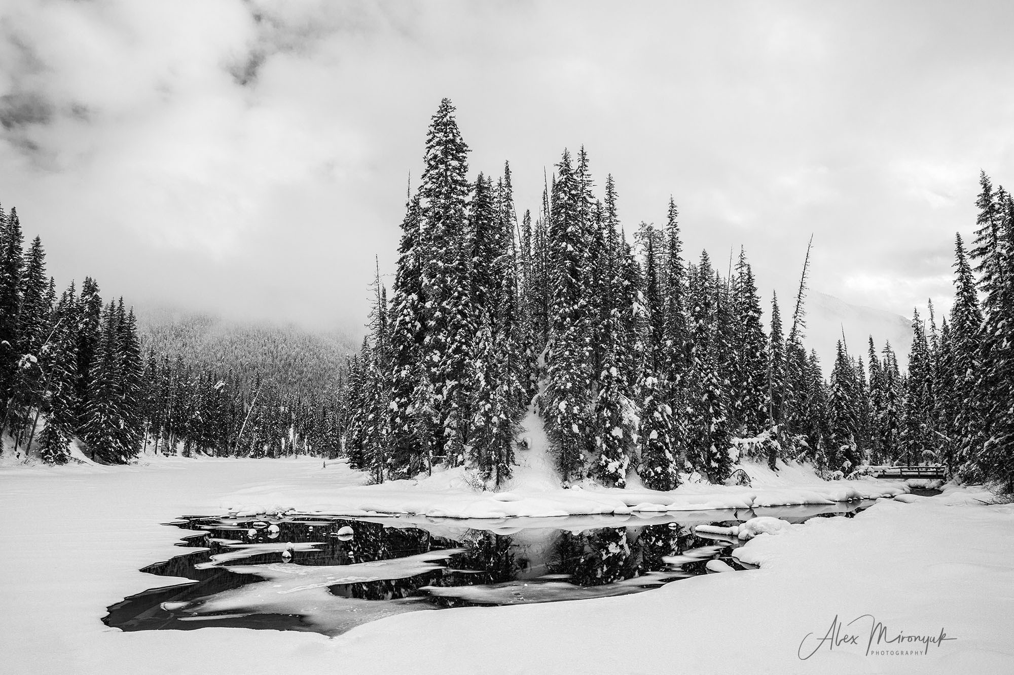 Canadian Winter Wonderland. Pet, Senior, Landscape, portrait studio, photographer in Miami and Sou