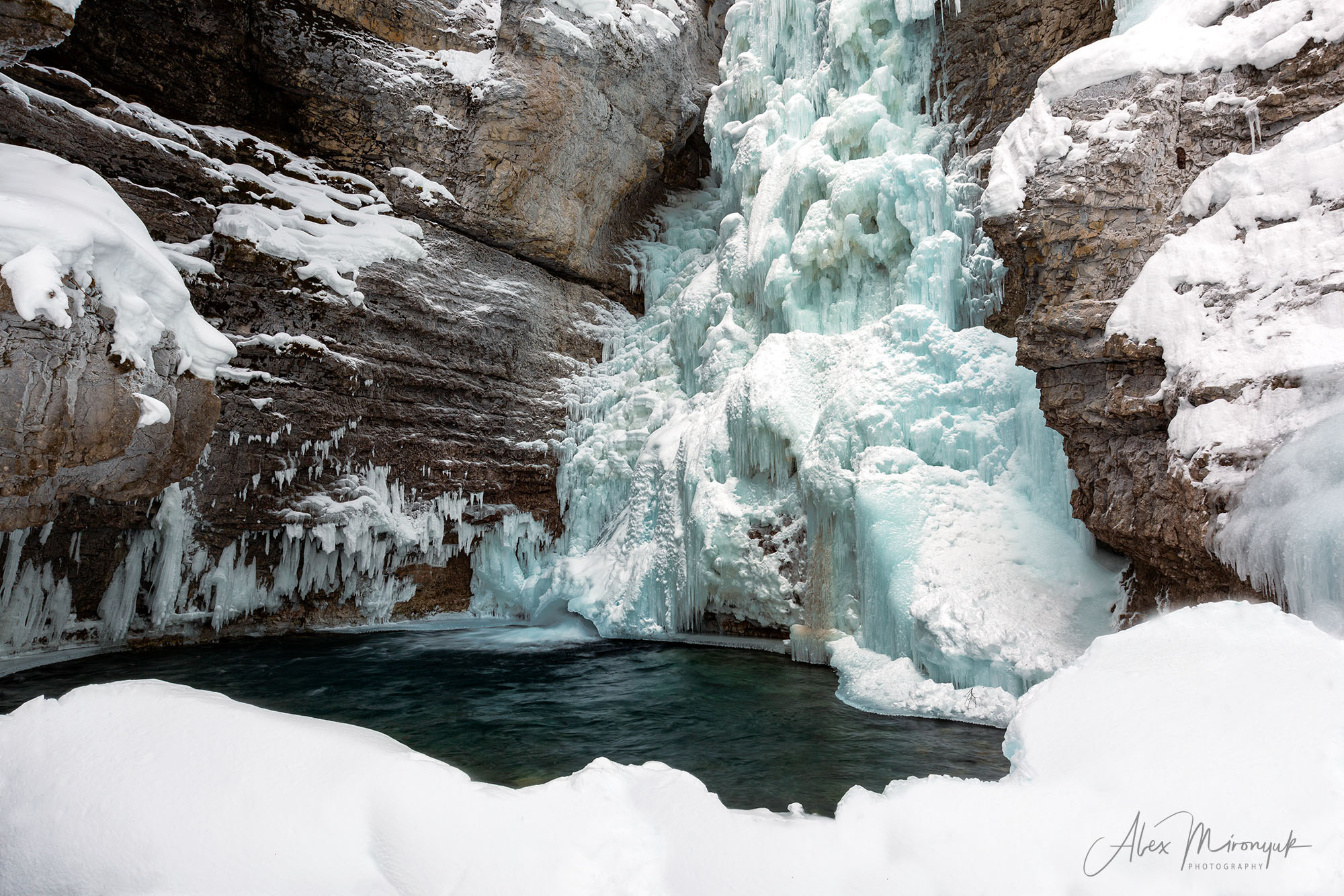 Canadian Winter Wonderland. Pet, Senior, Landscape, portrait studio, photographer in Miami and Sou