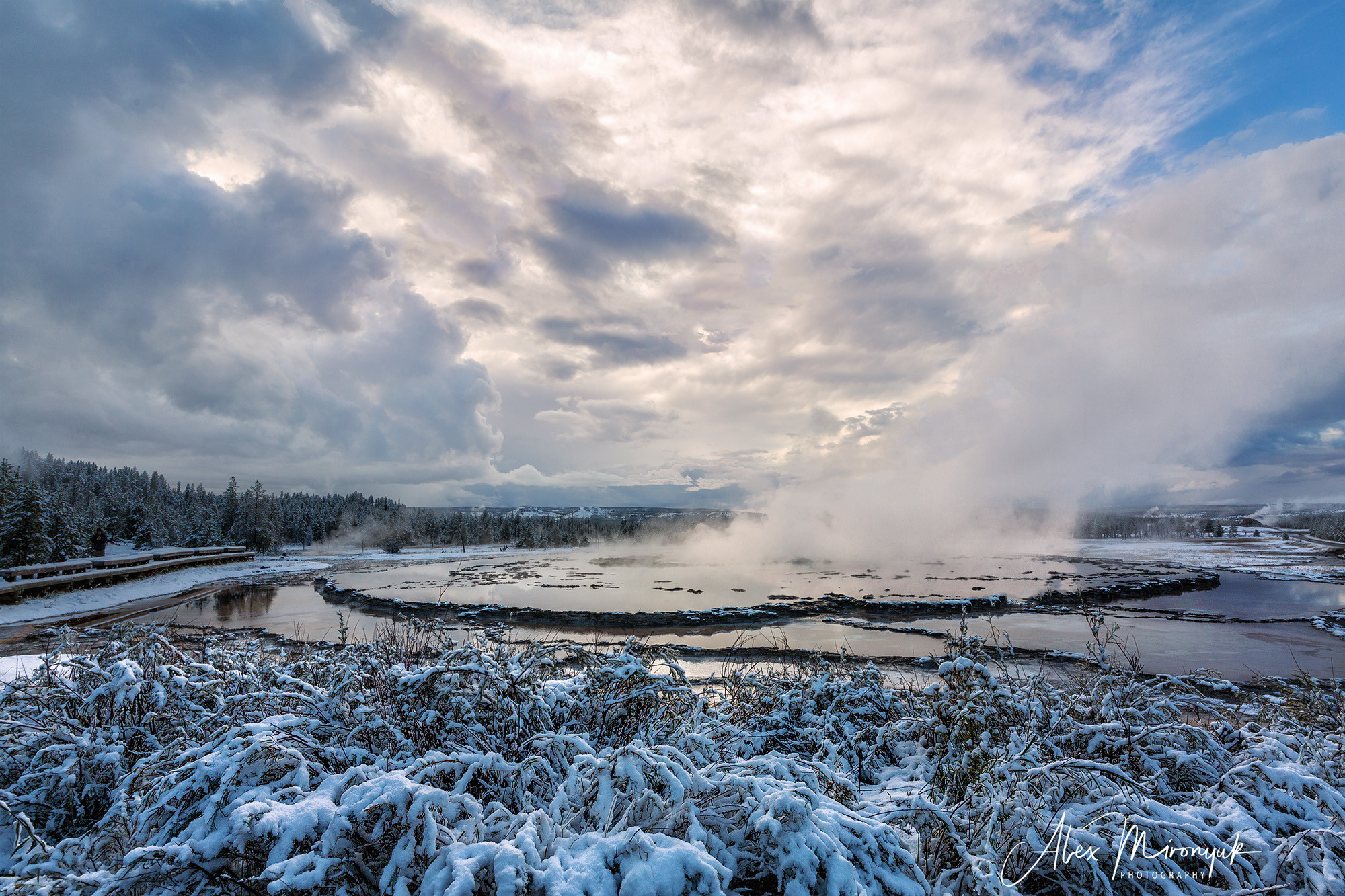 Yellowstone & Grand Teton. Alex Mironyuk Photography
