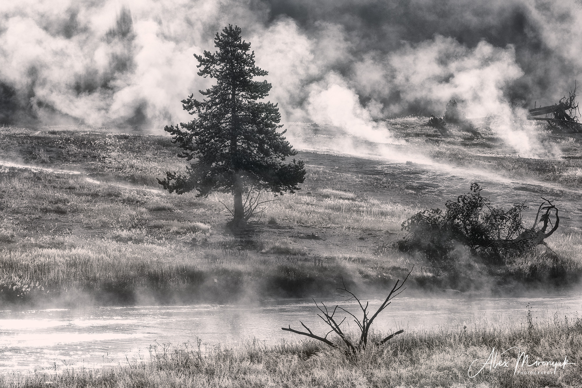 Yellowstone & Grand Teton. Alex Mironyuk Photography