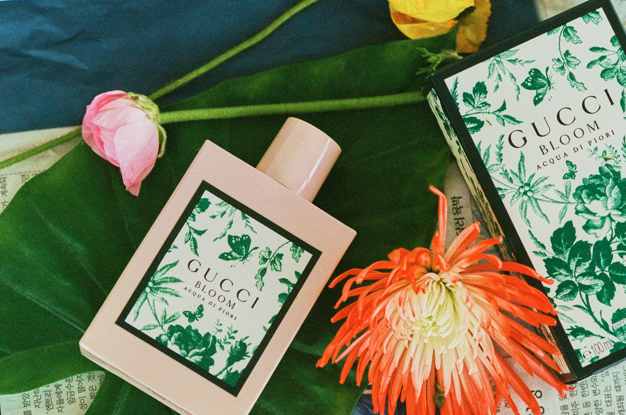 FAMILY FILMS. Adeliia Korinkova — нейро-креативный продюсер в Праге. Визуальная идентичность, AI-креативы и рекламные ролики для брендов