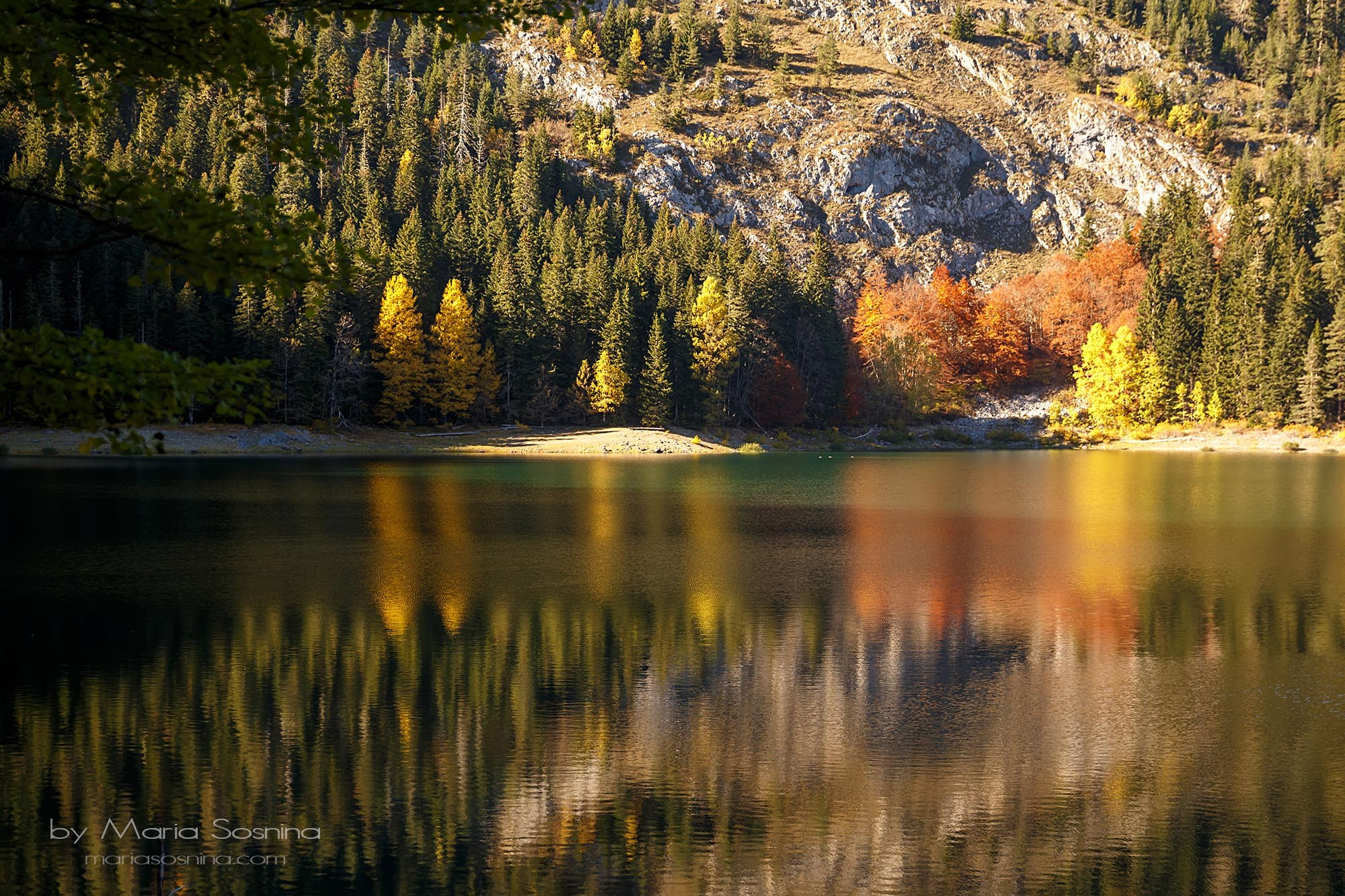 Nationale Parken van Montenegro: Verken Natuurlijke Schoonheid