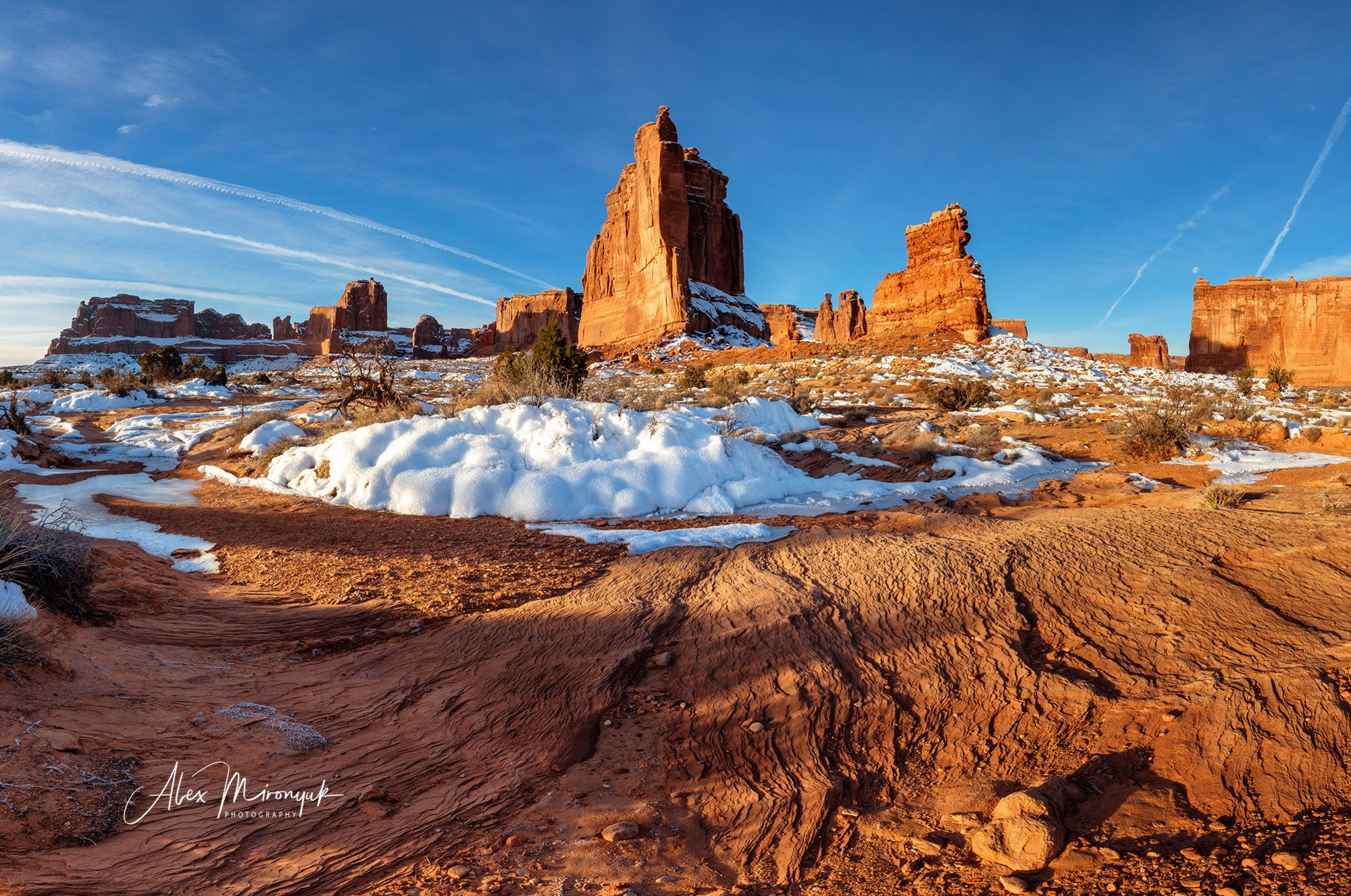 New Year In Utah. Pet, Senior, Landscape, portrait studio, photographer in Miami and Sou